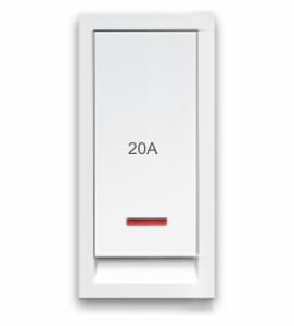 1 Way Switch with Neon